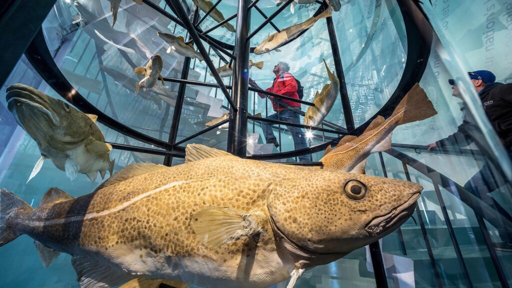 A Cod staircsase in the Maritime Museum in Reykjavik included in Reykjavik City Card