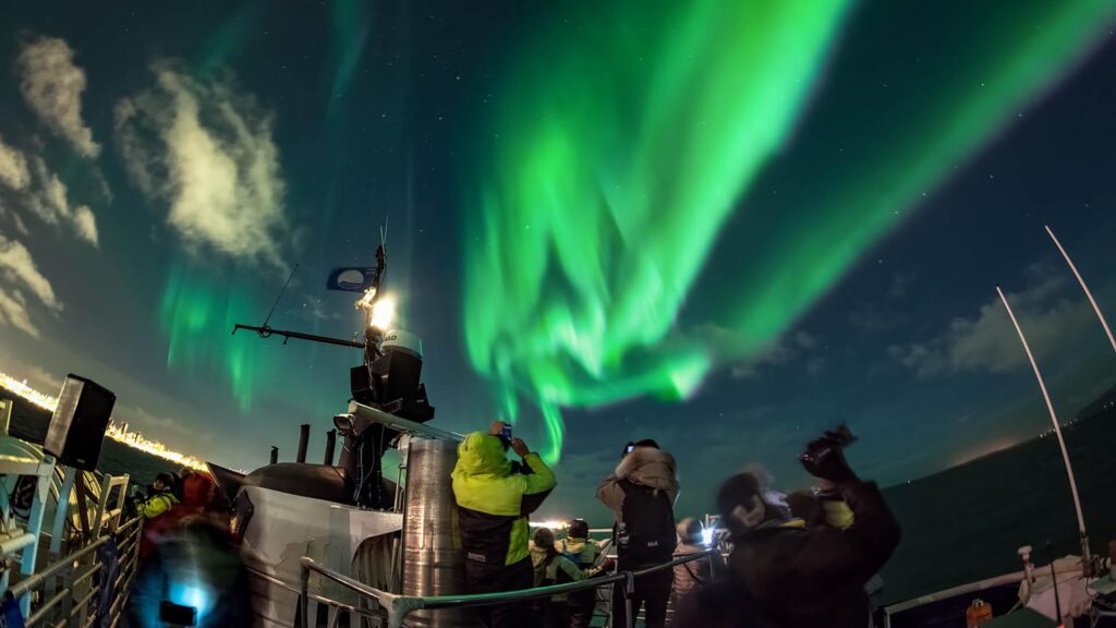 northern lights by boat 