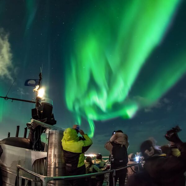 northern lights by boat