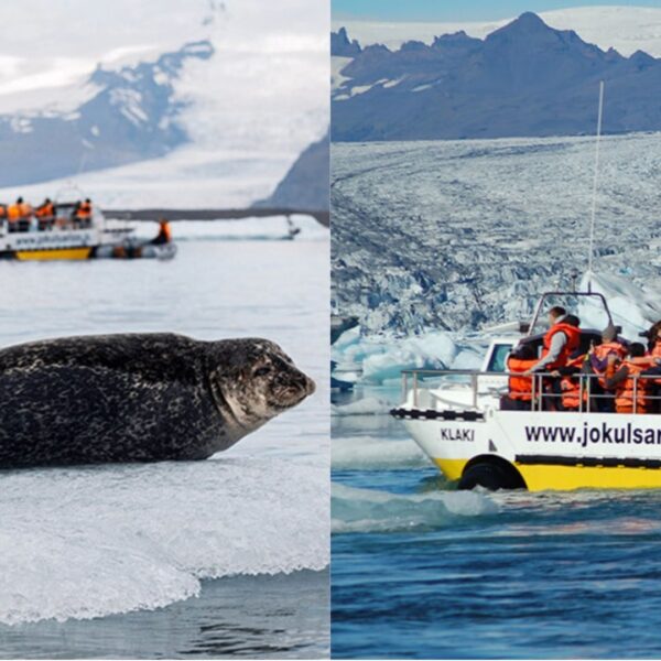 Amphibian Boat Tour on the Glacier Lagoon is one of the best attractions in Iceland