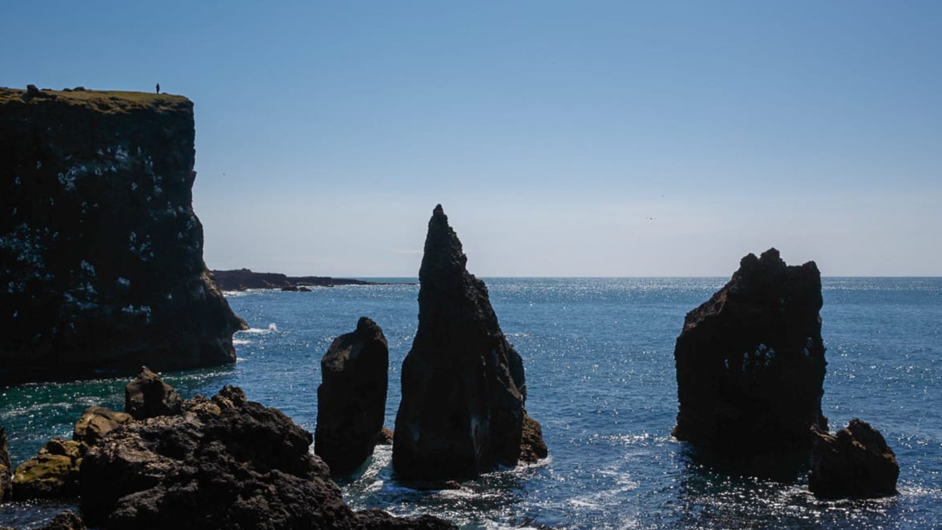 Valahnúkamöl rocks formation at the ocean in Iceland