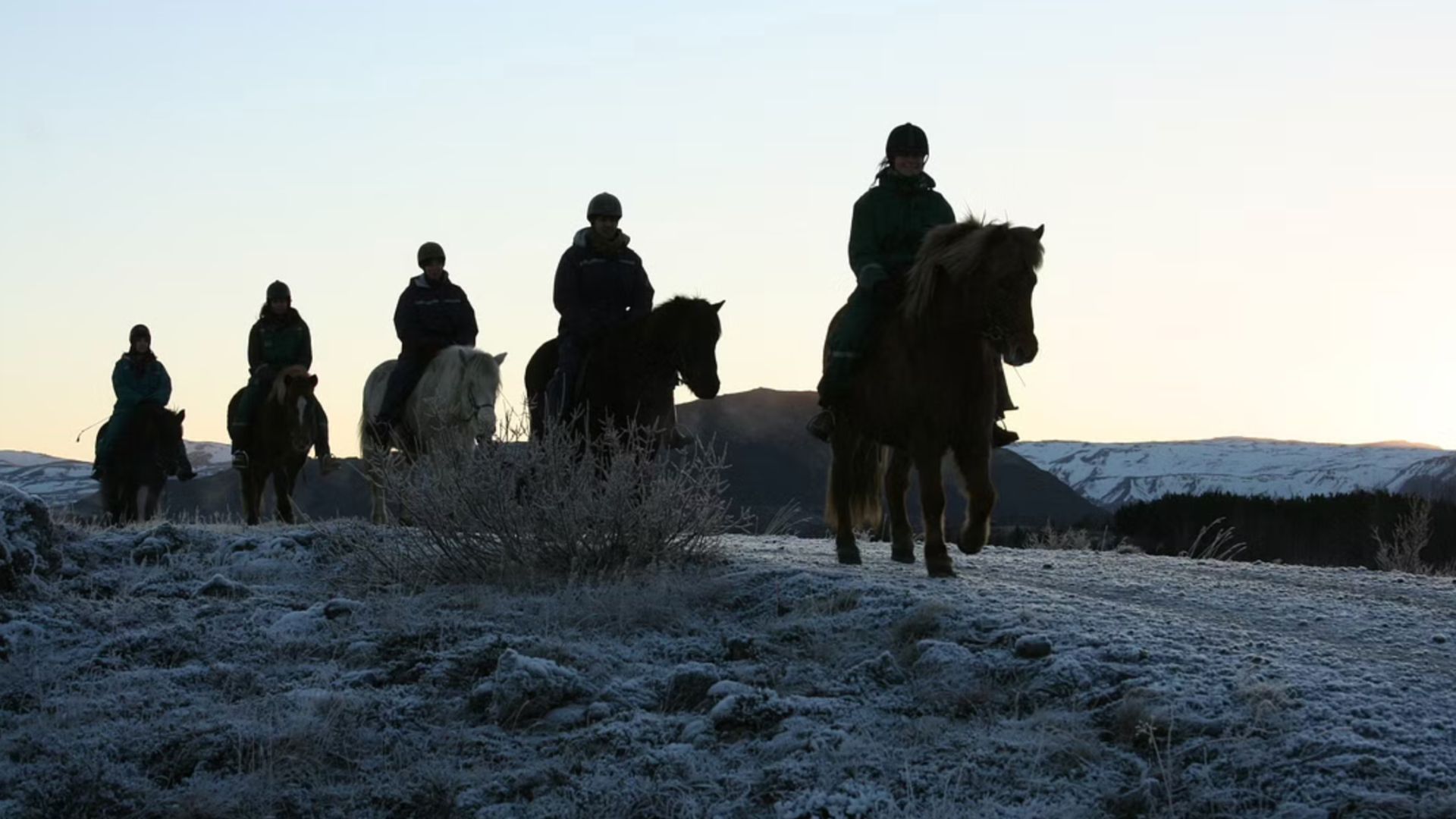 Tourists riding on horses in Iceland during sunset