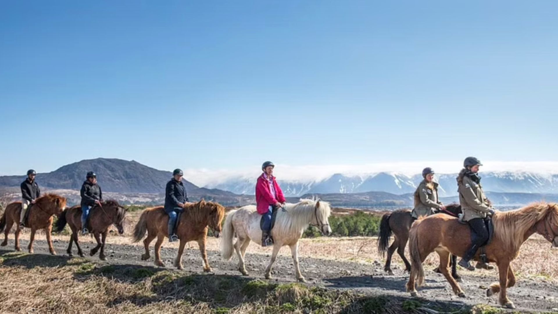 Tourists on horses riding in a line