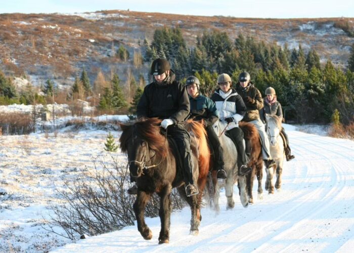 Horseback riding tour in Iceland