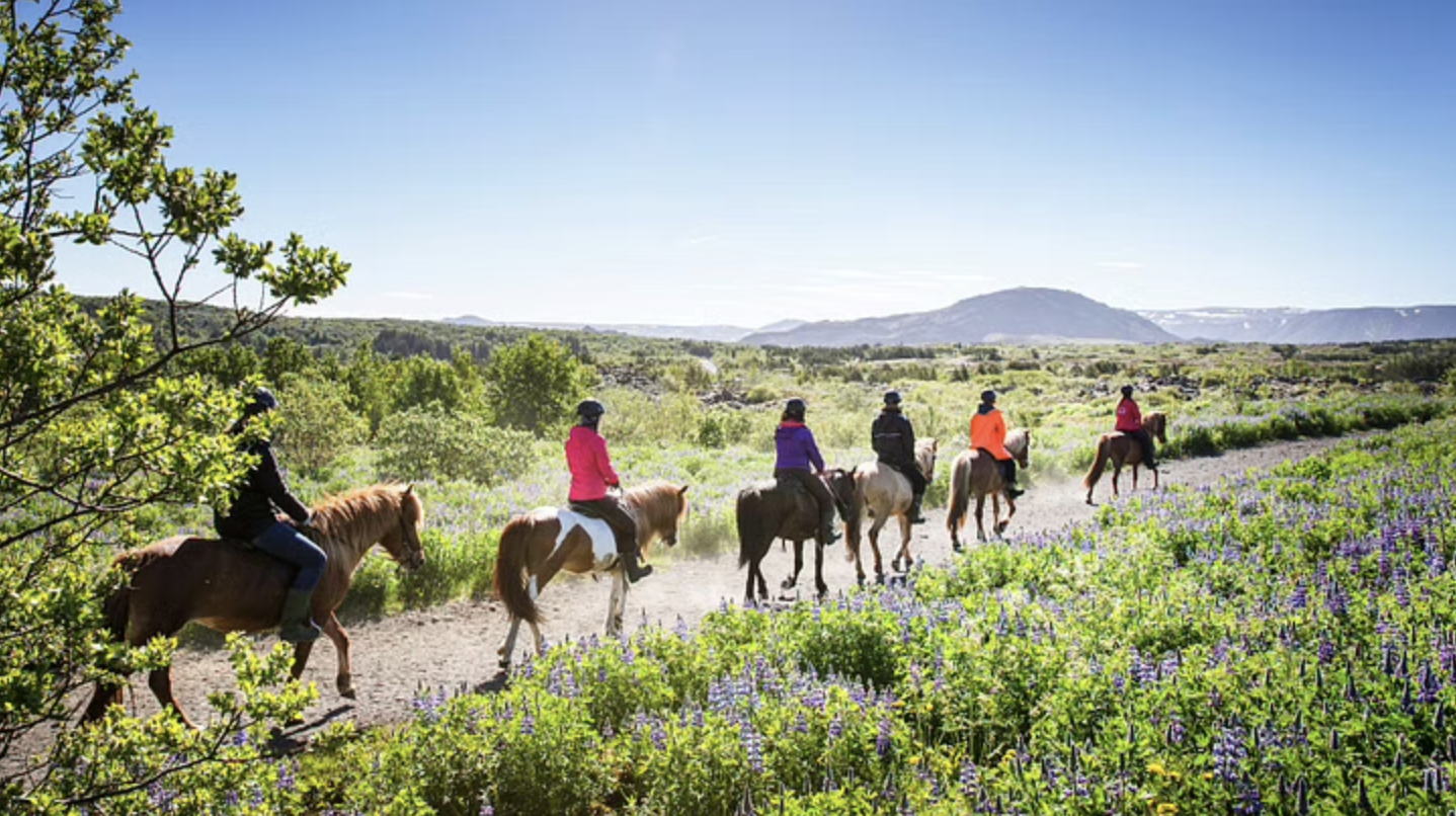 Horseback riding tour during Icelandic summer