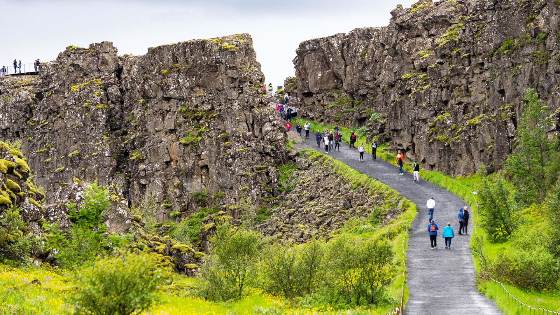 Tectonic plates in Iceland