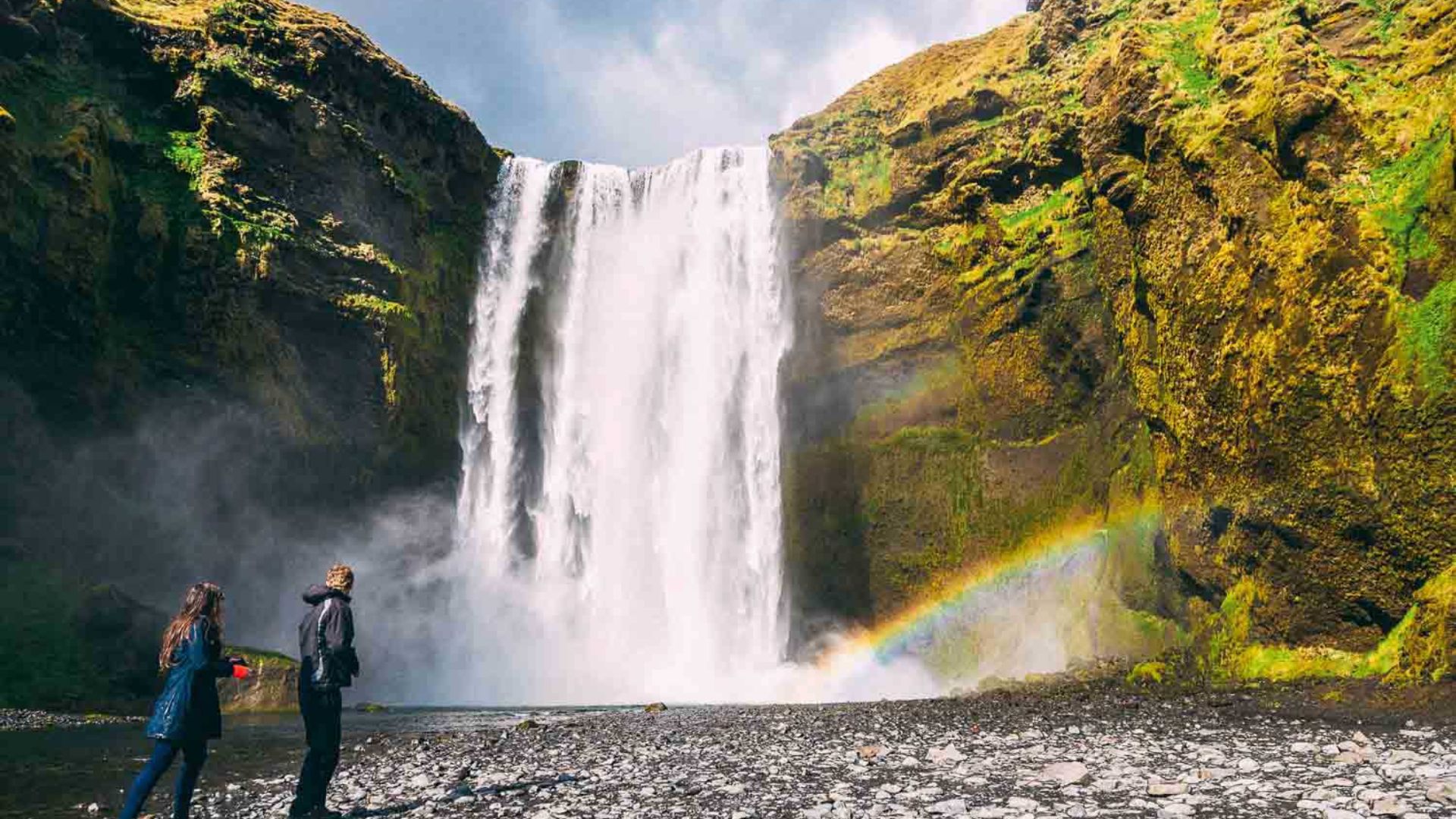 Skógafoss is one of the most popular waterfall in Iceland, the South Coast. Lupin in Iceland.