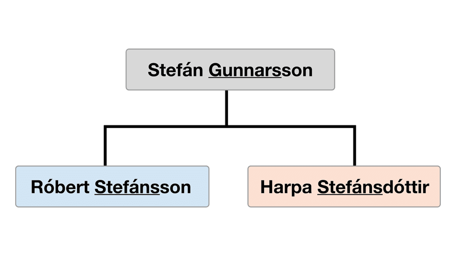 Patronym Example Special Icelandic Words | Your Friend in Reykjavik