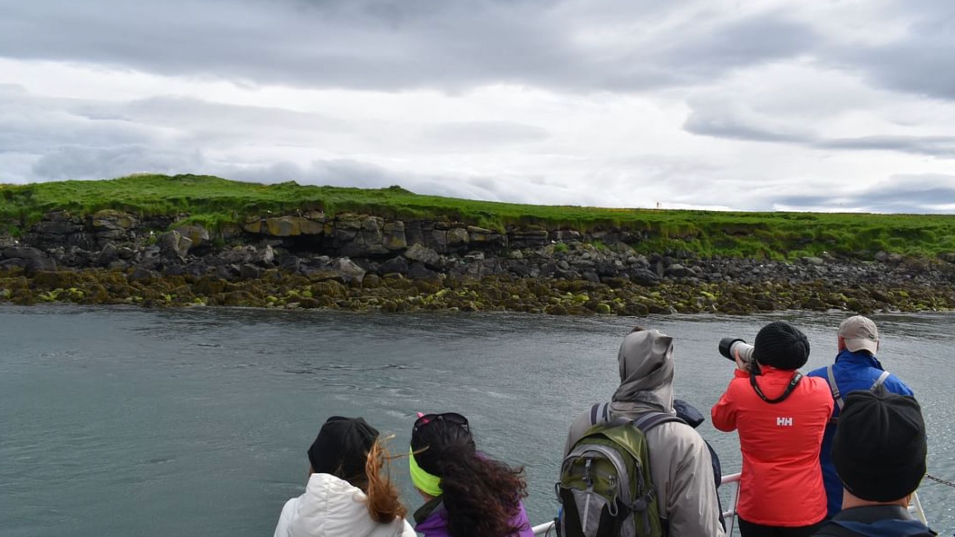 The Boat - Puffins Tour
