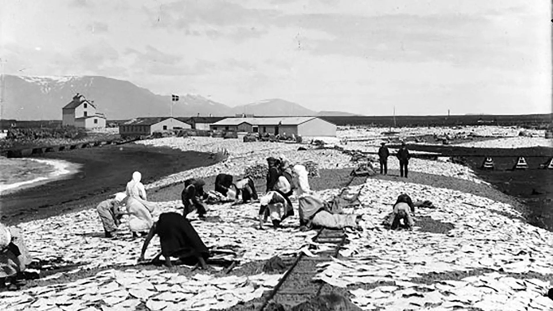 Salted Fish in Iceland: A Historical Overview