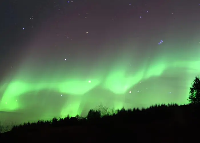 Northern Lights in the sky above some trees