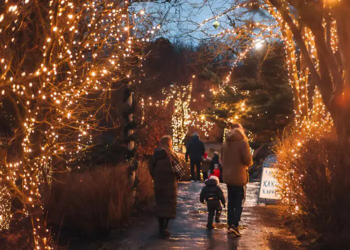 A festive group walking through Reykjavik at Christmas