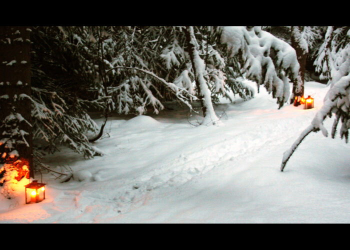 A magical scene of a snowy forest with a path gently lit by lanterns