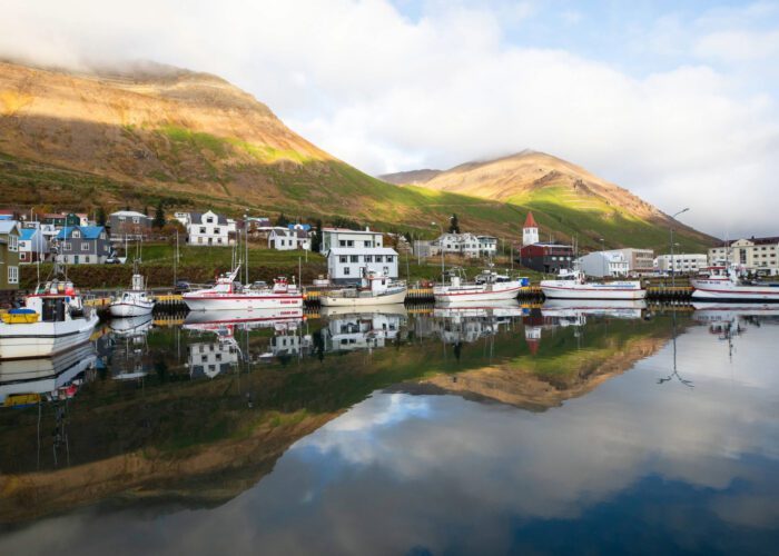 Residential area of Siglufjörður with fjord backdrop